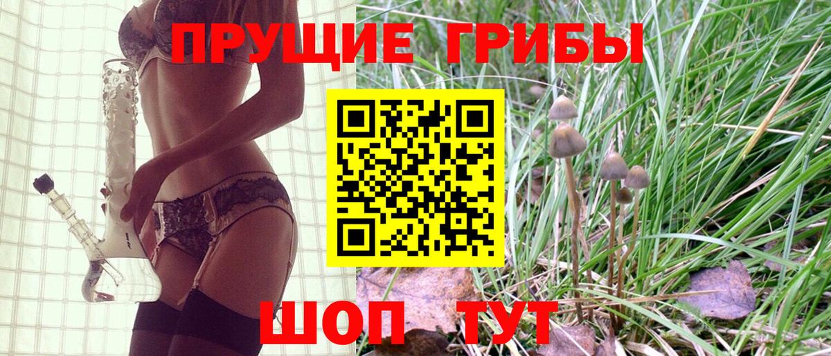 Казань  Псилоцибиновые грибы ЛСД  Вход с VPN 
