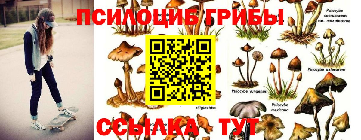 Галлюциногенные грибы мицелий Казань